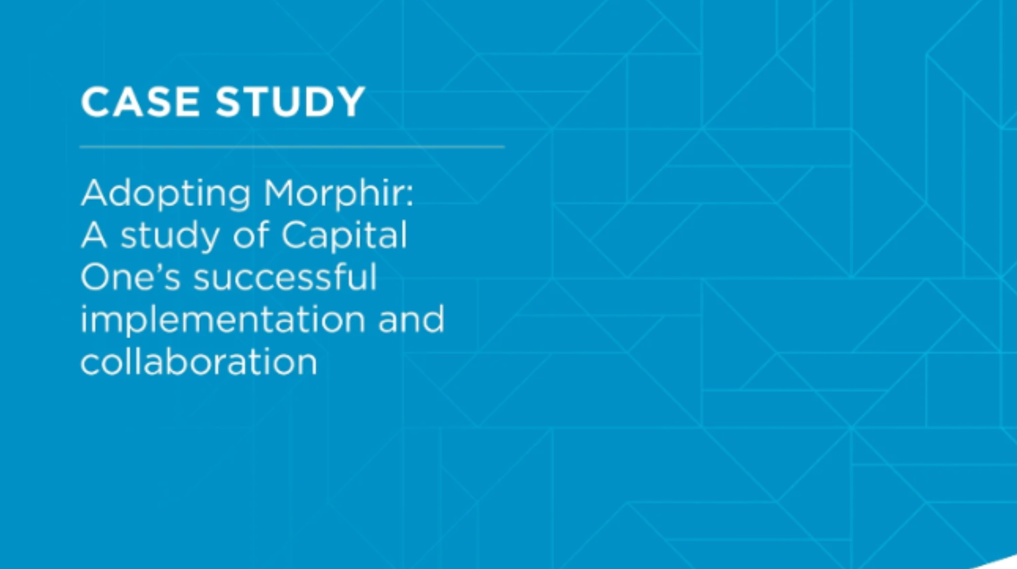 Morphir Case Study