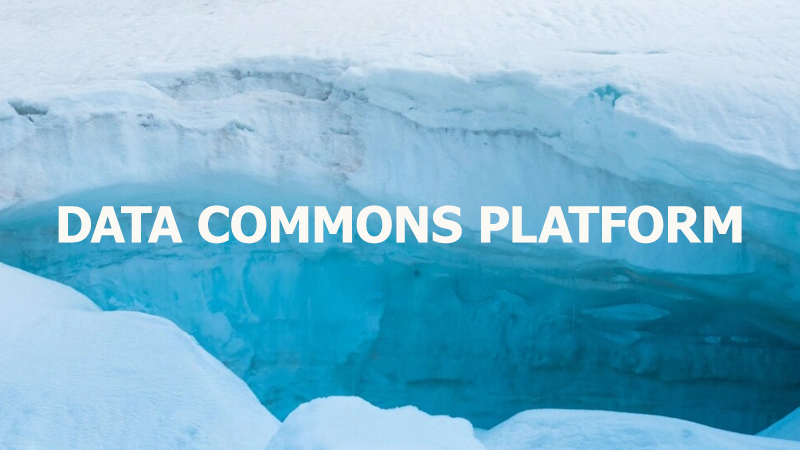 Data Commons Platform