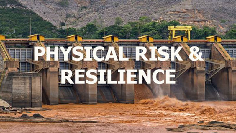Physical Risk & Resilience