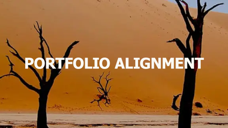 Portfolio Alignment