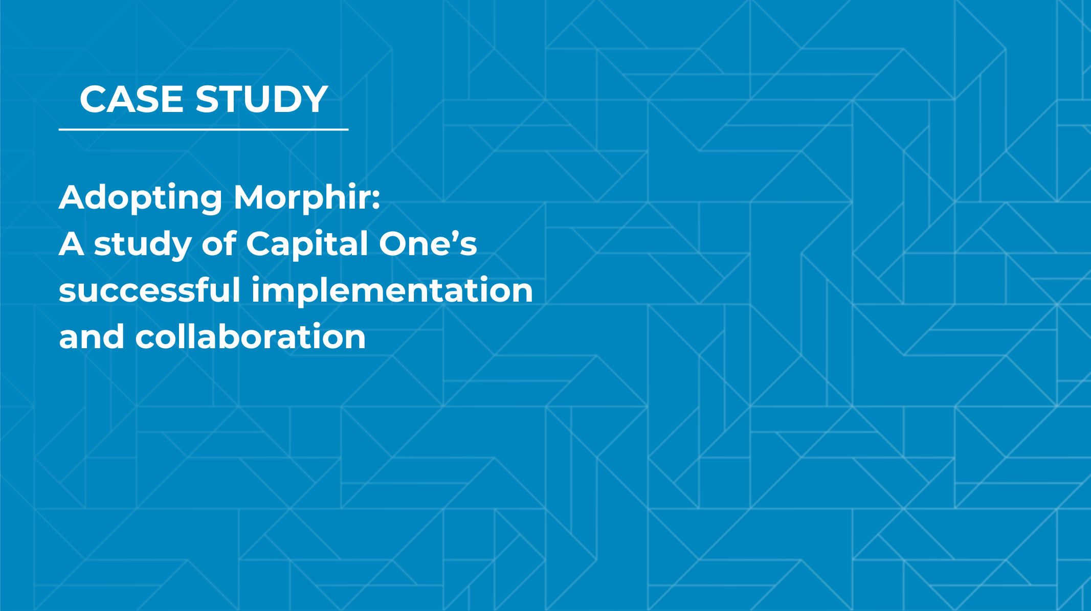 Morphir Case Study